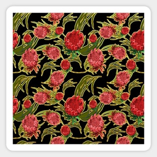 Beautiful Australian Native Flowers - King Protea and Grevillea Sticker